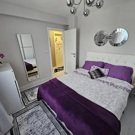 Near The City Center And International Airport In Daire
